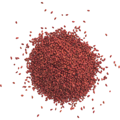 Cranberry Seed Exfoliant